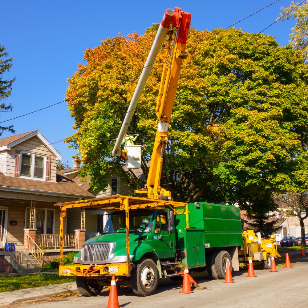 crane truck