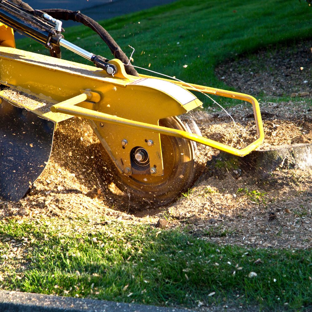 Tree stump saw